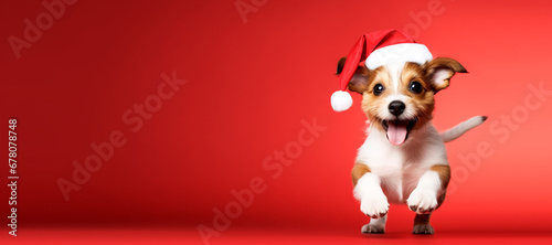 Happy jack russell terrier in santa costume on red background