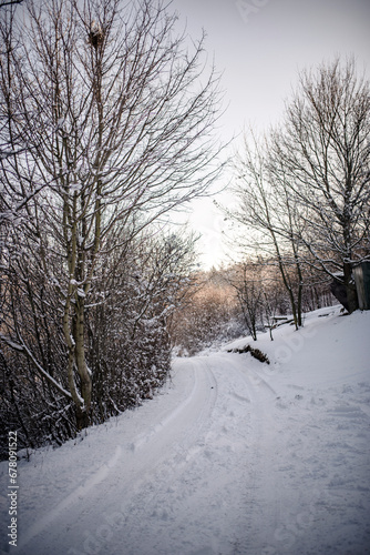Country road covered in fresh snow on a sunny december morning © Michaela