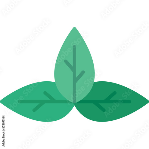 Basil Icon
