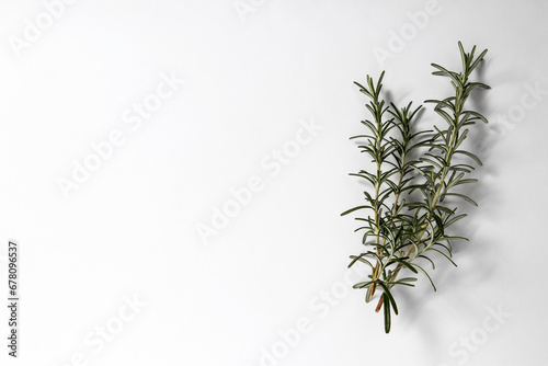 Sprigs of fresh rosemary on a white background