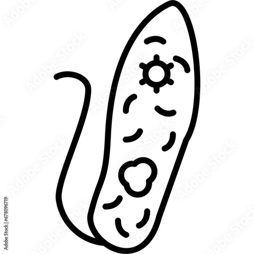 Euglenid Icon