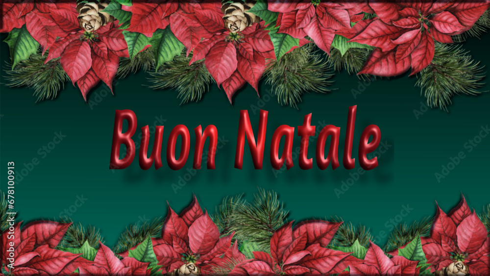 Merry Christmas - Christmas greeting card with poinsettia flowers and pine branches in the borders. written Buon Natale in Italian. 3D relief effect- vector design for festive holidays - obrazy, fototapety, plakaty 