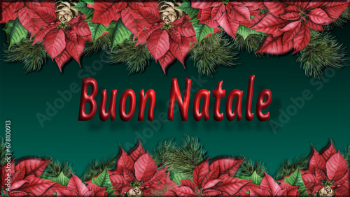 Merry Christmas - Christmas greeting card with poinsettia flowers and pine branches in the borders. written Buon Natale in Italian. 3D relief effect- vector design for festive holidays