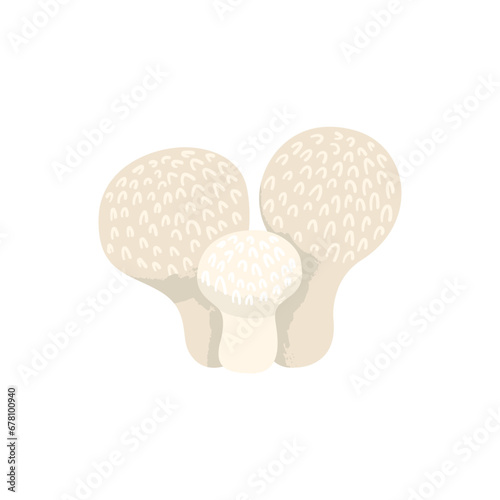 Puffball mushrooms. Fungus with a ball-shaped body. Vector cartoon illustration with texture isolated on the white background.