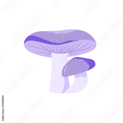 Clitocybe nuda mushroom. Edible fungus. Vector cartoon illustration with texture isolated on the white background.