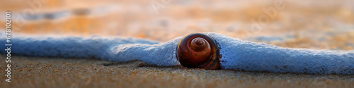 A shell on the shore of the Andaman Sea. Beautiful sunset on a paradise beach.