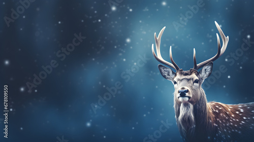 Elk with blue background, Christmas theme, winter frame background, lighting, banner, copy space, AI generative