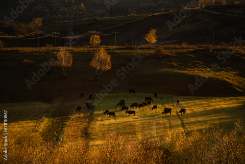 Scenic view of field against sky at autumn sunset in Apuseni Mountains, Romania © landscapeaway