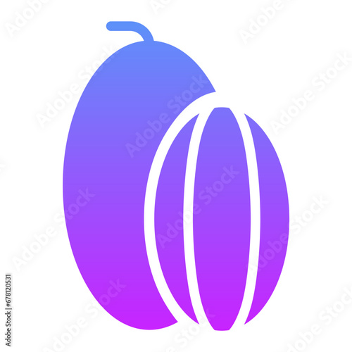 Rockmelon Icon