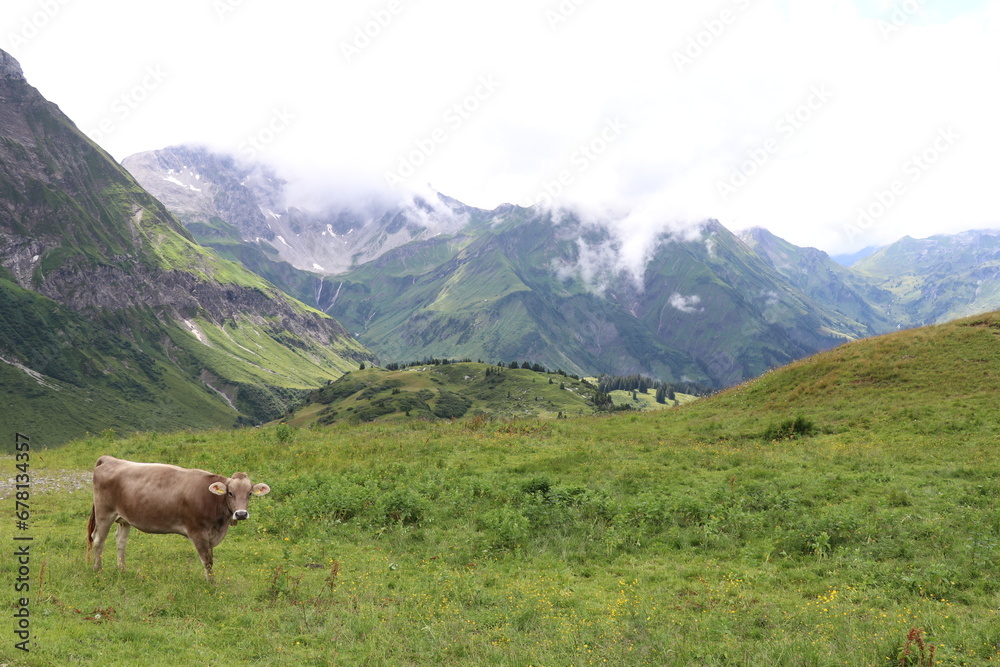 green mountain pasture with low clouds and mountains in the distance green mountain pasture with low clouds and mountains in the distance