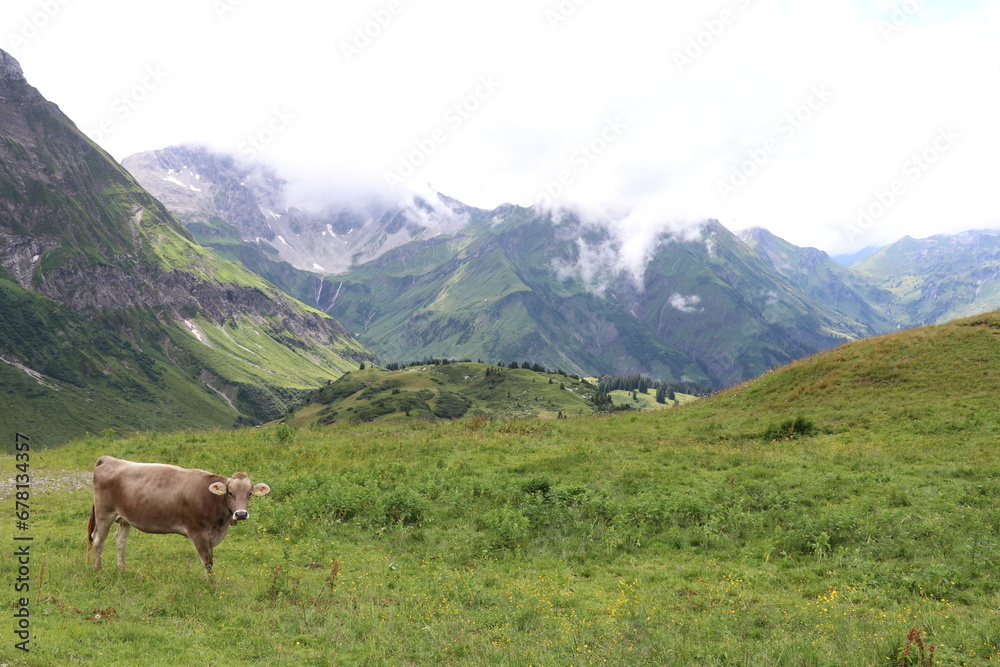 green mountain pasture with low clouds and mountains in the distance 