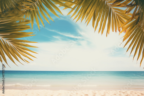 summer tropical background, view of palm trees, sea and sky