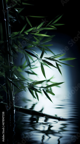 bamboo over lake at night