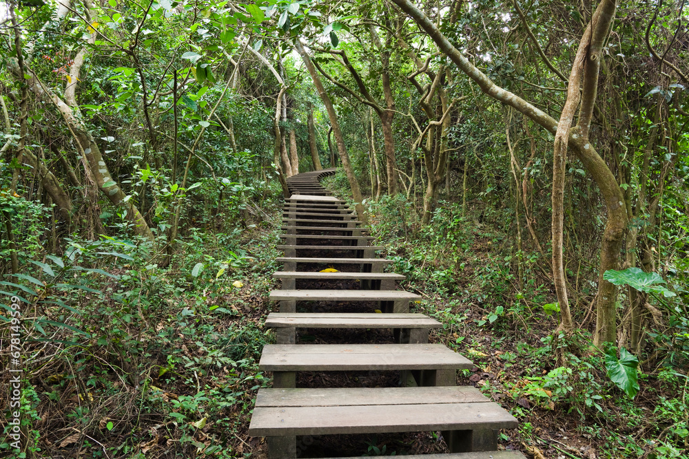 Obraz premium View of the boardwalk paths through the forest of mountains, This is Tzaishan(Shoushan) National Nature Park in Kaohsiung, Taiwan.