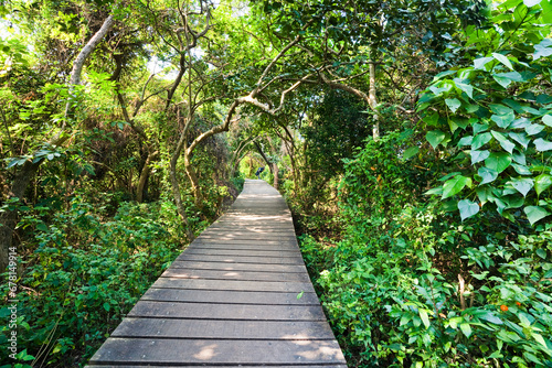 View of the boardwalk paths through the forest of mountains, This is Tzaishan(Shoushan) National Nature Park in Kaohsiung, Taiwan. photo
