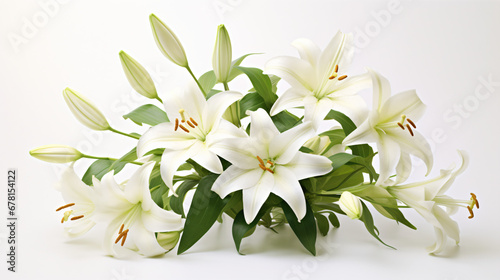 Easter Lily flowers