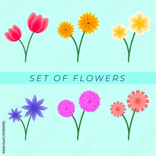 set of cute flowers with branches