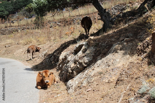 Rencontre sur la route photo