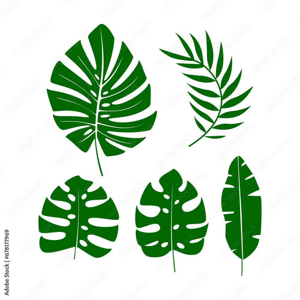 flat set of tropical leaves vector design on white background