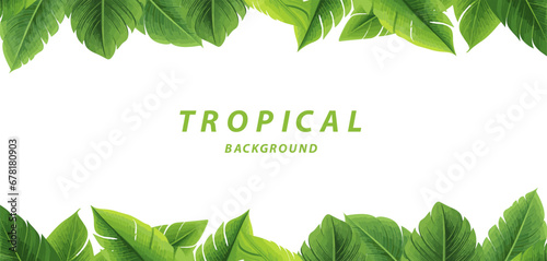 banana leaves tropical border background