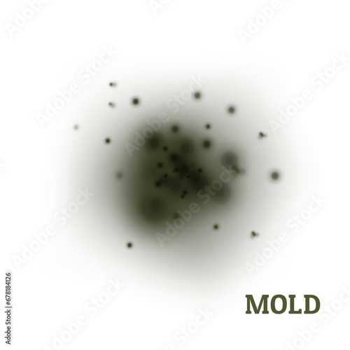Black mold. Fungus, the wall of an apartment, a house, poisonous spores. Toxic health effects. Spot in the center on a light background. Vector realistic illustration. © olgadanilina