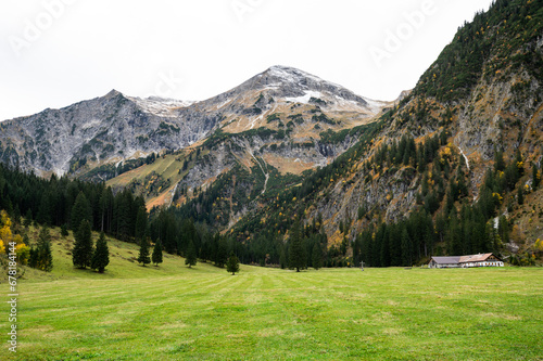 Alpine landscape, pasture and mountains