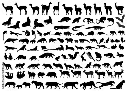 Silhouettes of animals of South America. Vector illustration.