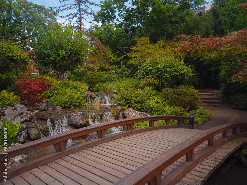 Japanese park in Vienna on a summer day. Zetagaya Park is small, quiet Japanese garden with cherry trees and fish pond, open to public from April to October.