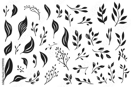 Print op canvas Set of elegant silhouettes of flowers, branches and leaves