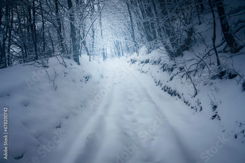 forest road covered in snow...