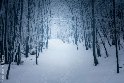 snow covered path in fantas...
