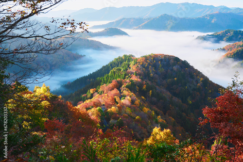 おにゅう峠の紅葉と雲海 photo