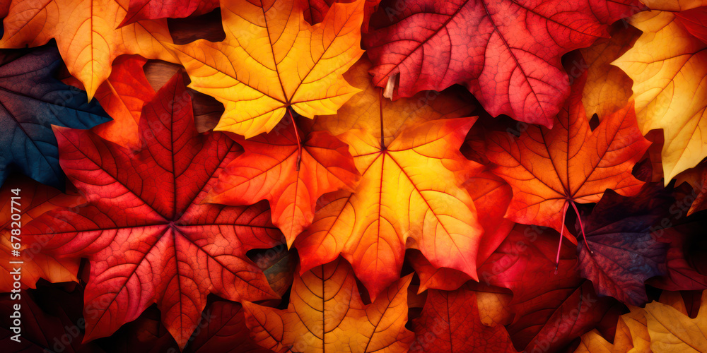 Fall Leaves Background Fall Leaves Background