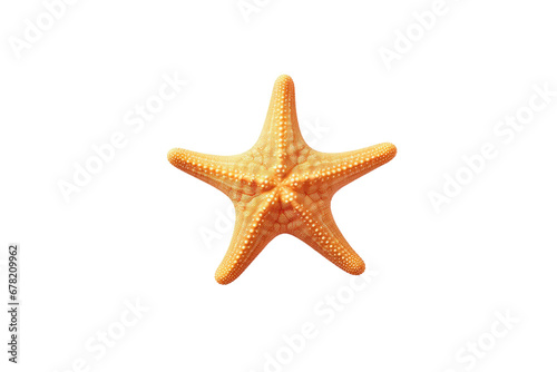 Image Featuring a Starfish on Transparent Background, PNG, Generative Ai © TheLogoTip