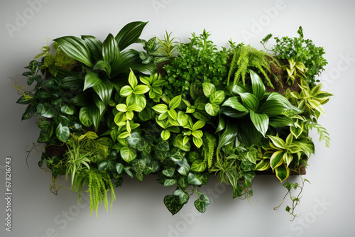 Modern green living wall in an urban setting isolated on a gradient background  photo