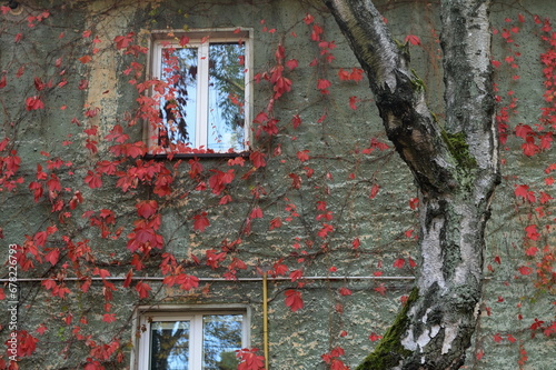 Autumn on Pobedy Avenue in Kaliningrad photo