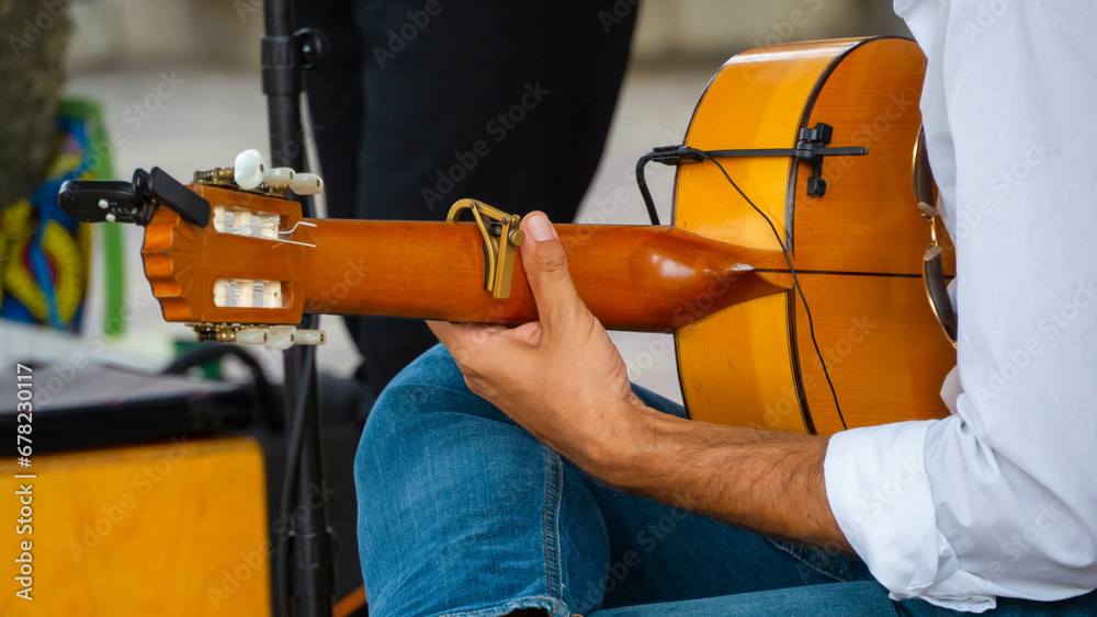 The hand of a flamenco guitar player. The hand of a flamenco guitar player.