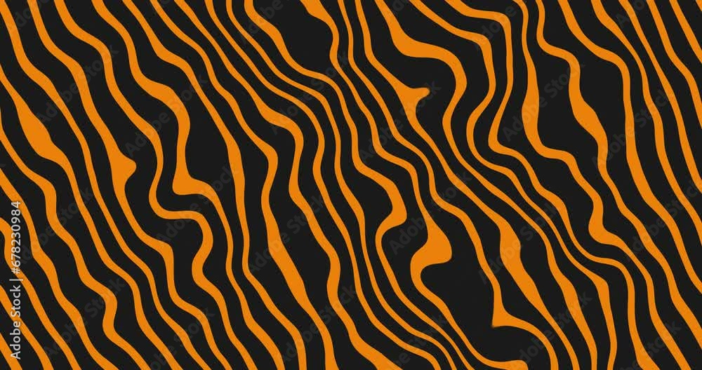 Seamless looped abstract Wavy lines animation background. Orange color wavy lines moving diagonally over black background.Flat animated motion graphics background. Seamless looped abstract Wavy lines animation background. Orange color wavy lines moving diagonally over black background.Flat animated motion graphics background.