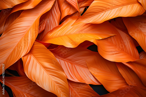 The leaves have a bright orange texture. Natural background, warm tones
