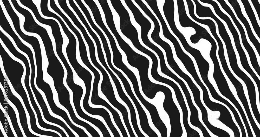 Seamless looped abstract Wavy lines animation background. White color wavy lines moving diagonally over black background.Flat animated motion graphics background. Seamless looped abstract Wavy lines animation background. White color wavy lines moving diagonally over black background.Flat animated motion graphics background.