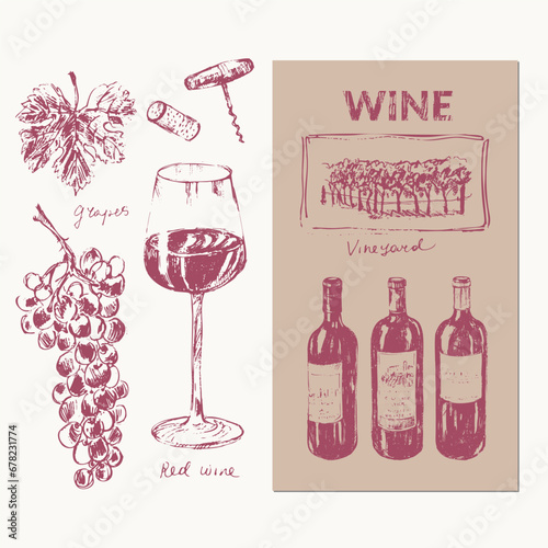 Hand drawn wine illustration