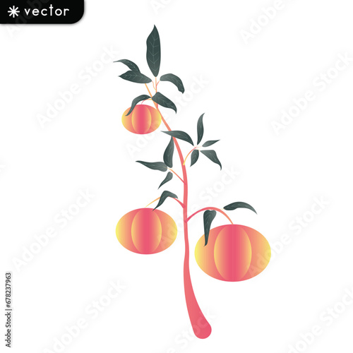 peaches with leaves, chinese flat peaches
