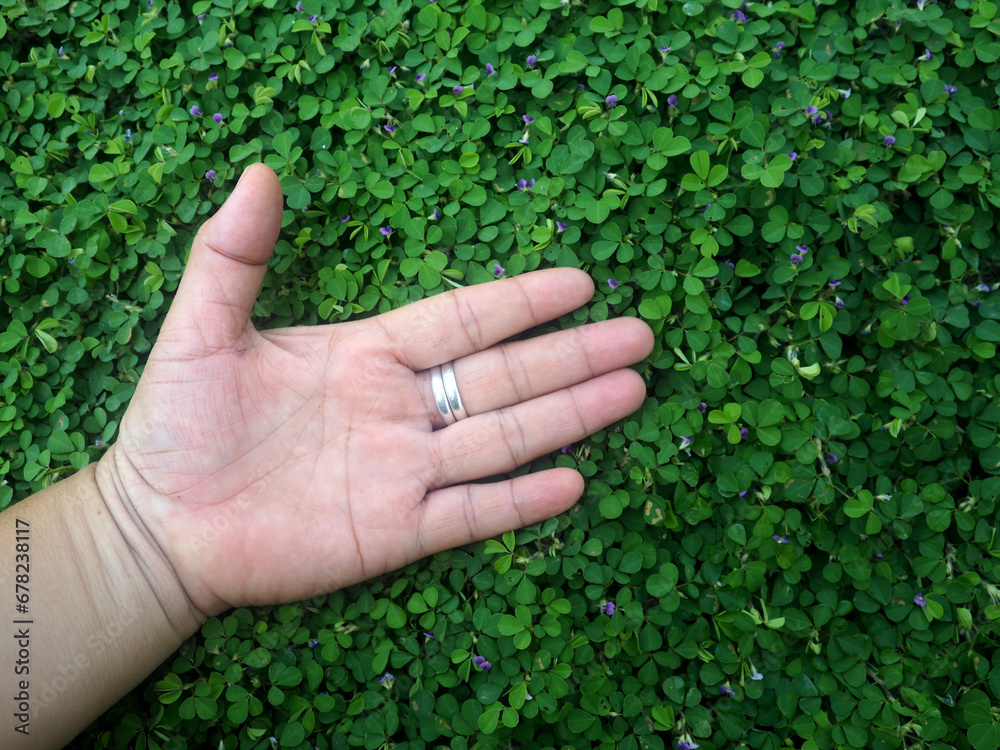 green leafe cover and human hand feet show up sign of love and fight green leafe cover and human hand feet show up sign of love and fight