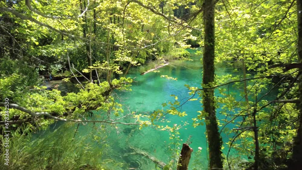 reflecting Milino Jezero lake of Plitvice Lakes National Park in Croatia in the Lika region. UNESCO World Heritage of Croatia, named Plitvicka Jezera. reflecting Milino Jezero lake of Plitvice Lakes National Park in Croatia in the Lika region. UNESCO World Heritage of Croatia, named Plitvicka Jezera.