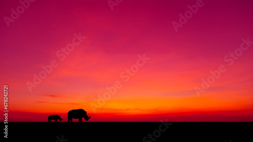 Amazing sunset and sunrise.Panorama silhouette tree in africa with sunset.Dark tree on open field dramatic sunrise.Safari theme.Giraffes.rhinoceros.