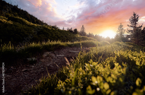 Beautiful summer landscape with a path in the mountain forest.