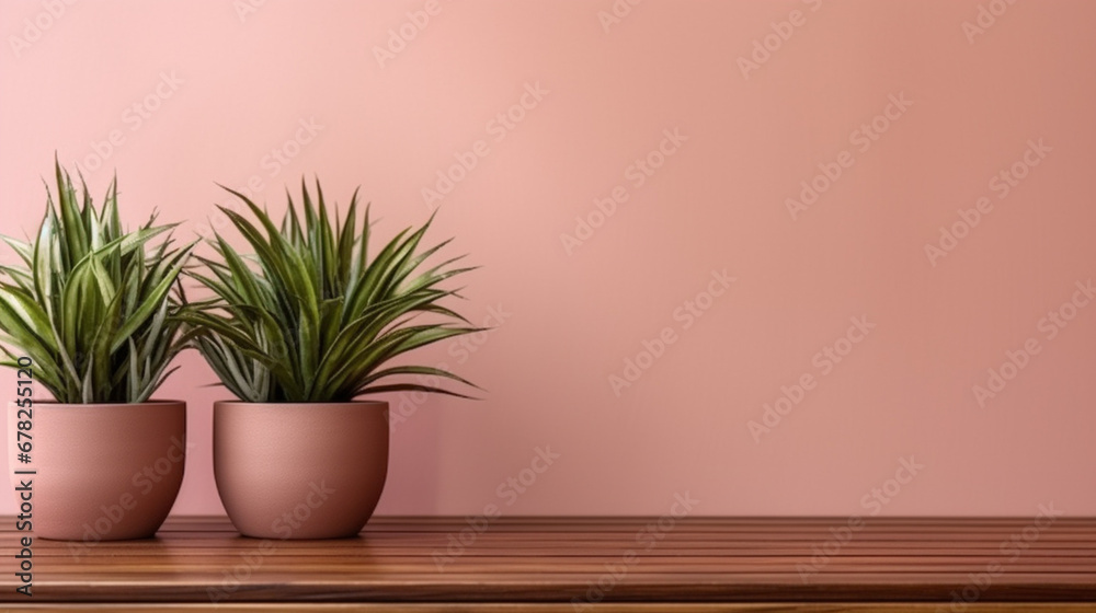 flower pot standing on wooden counter and copy paste space flower pot standing on wooden counter and copy paste space