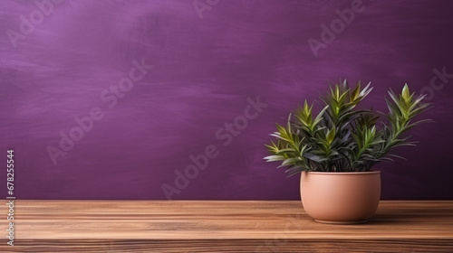 flower pot standing on wooden counter and copy paste space