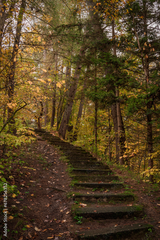 Obraz premium Autumn Ascent (2023)