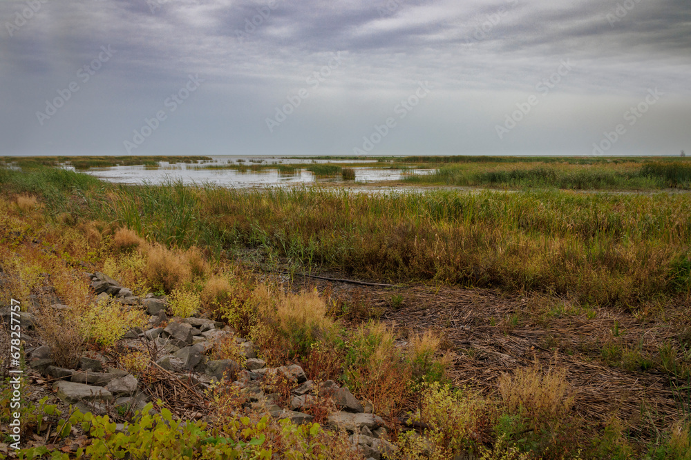 Quanicassee Wetlands (2023)